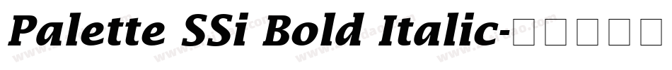 Palette SSi Bold Italic字体转换